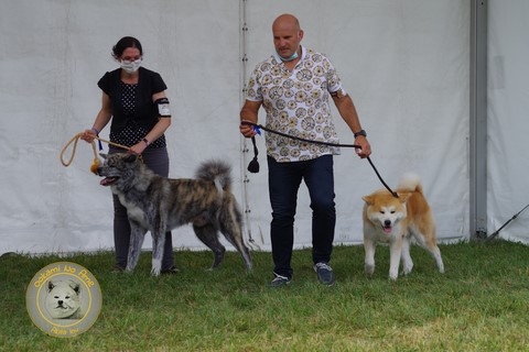 2021 Championnat De France Du Samedi , 2e Excellent RCACS