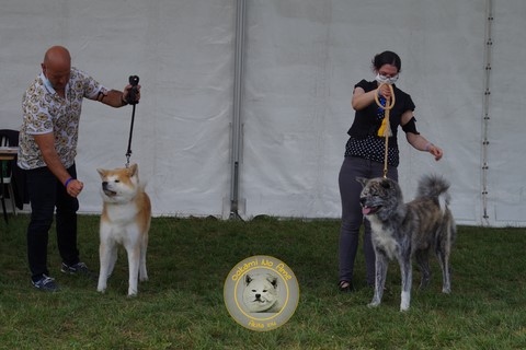 2021 Championnat De France Du Samedi , 2e Excellent RCACS