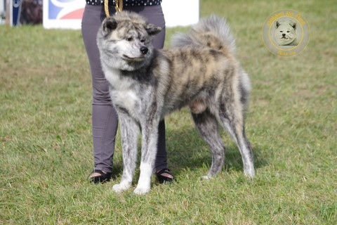 2021 Championnat De France Du Samedi , 2e Excellent RCACS