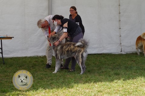 2021 Championnat De France Du Samedi , 2e Excellent RCACS