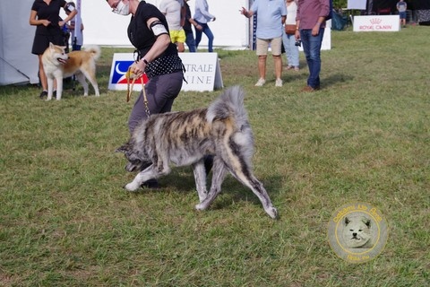 2021 Championnat De France Du Samedi , 2e Excellent RCACS