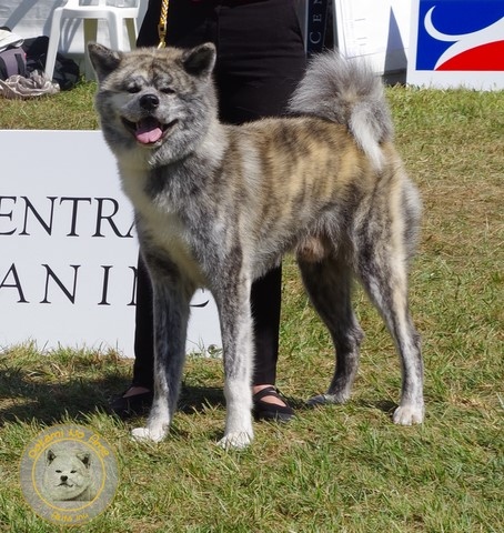 2021 Championnat De France Du Samedi , 2e Excellent RCACS