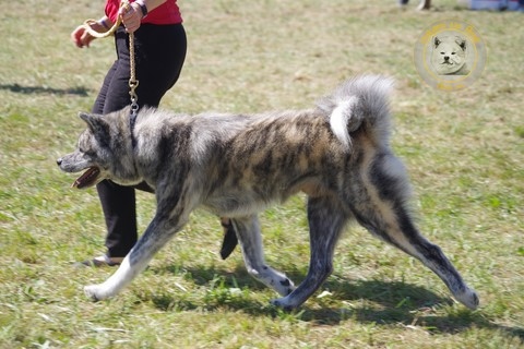 2021 Championnat De France Du Samedi , 2e Excellent RCACS