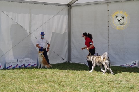 2021 Championnat De France Du Samedi , 2e Excellent RCACS