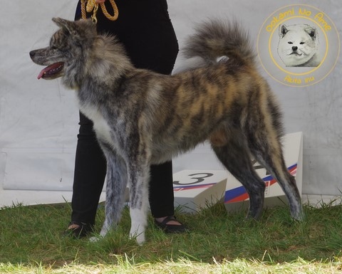 2021 Championnat De France Du Samedi , 2e Excellent RCACS